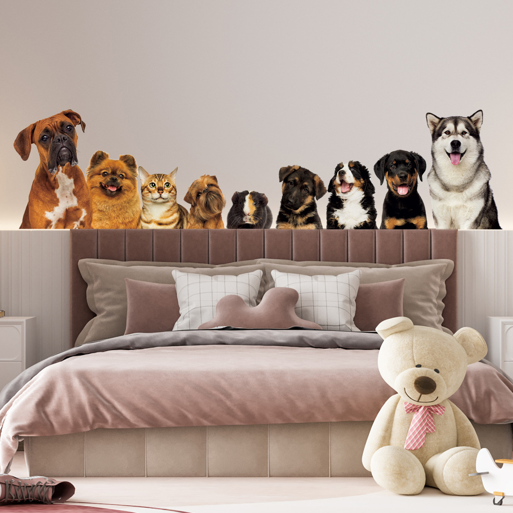 Home Cinema Wallpaper - C30 #9 милые кошки и собаки